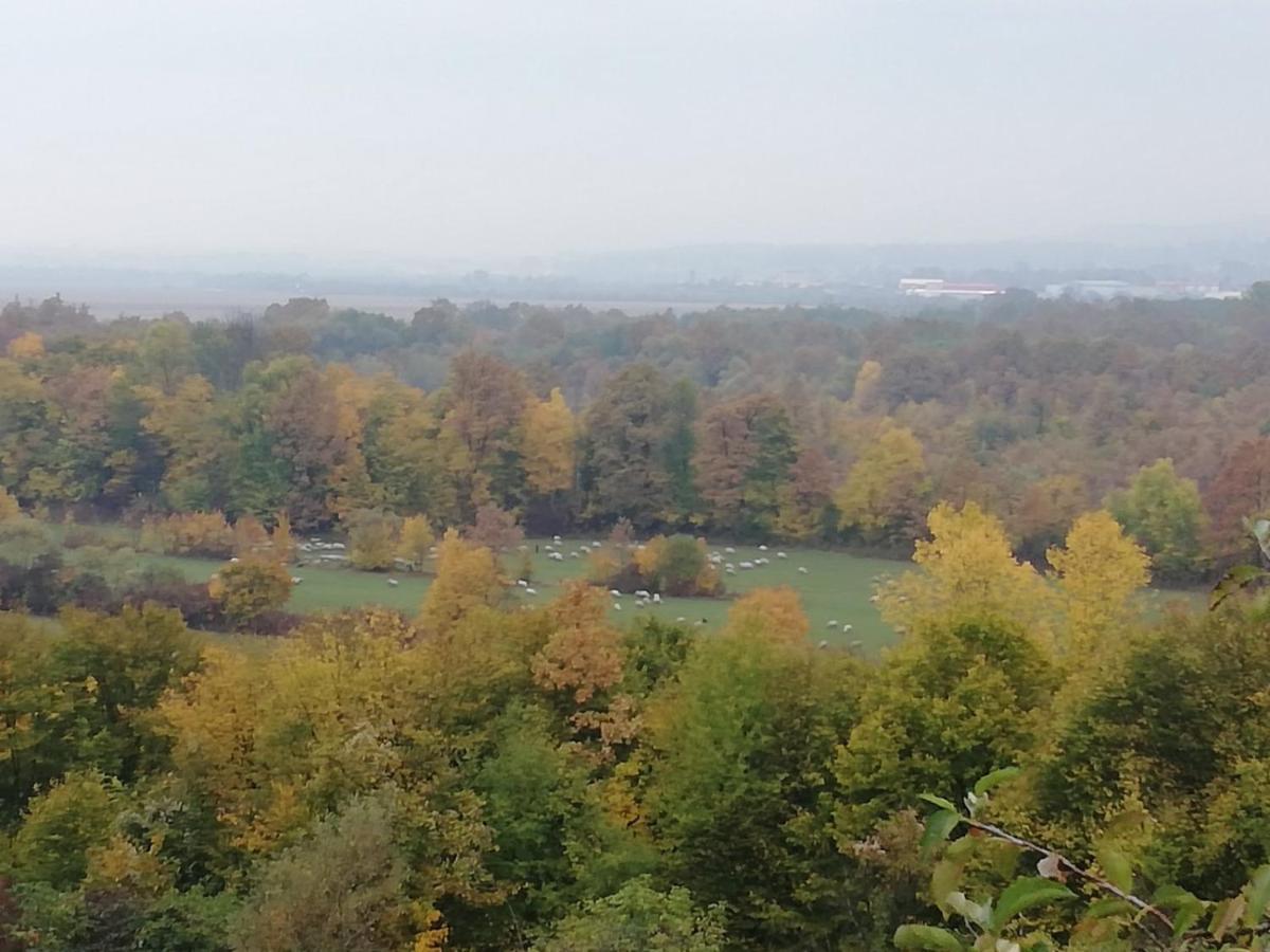 Villa Vikendica i vajat Vrbica Kalesija Esterno foto