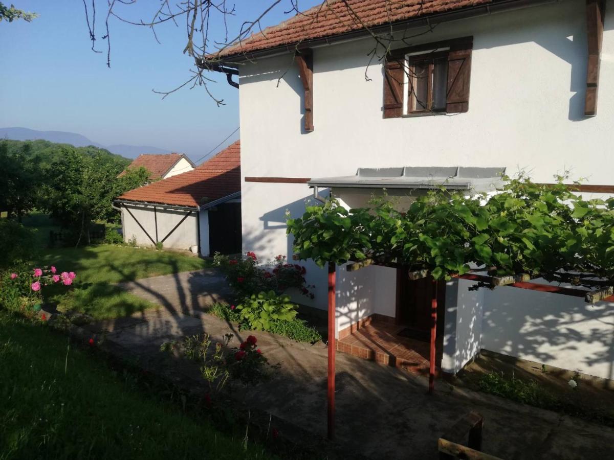 Villa Vikendica i vajat Vrbica Kalesija Esterno foto