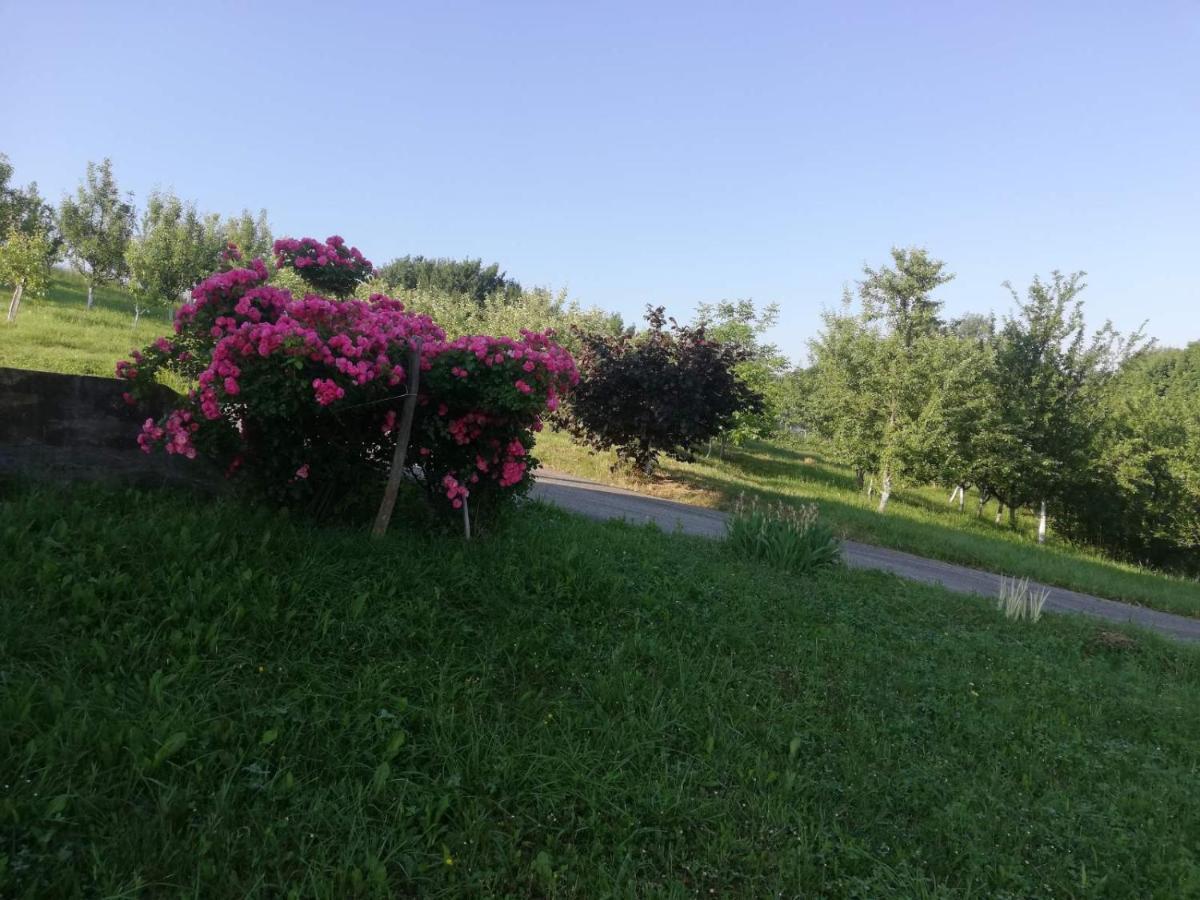Villa Vikendica i vajat Vrbica Kalesija Esterno foto