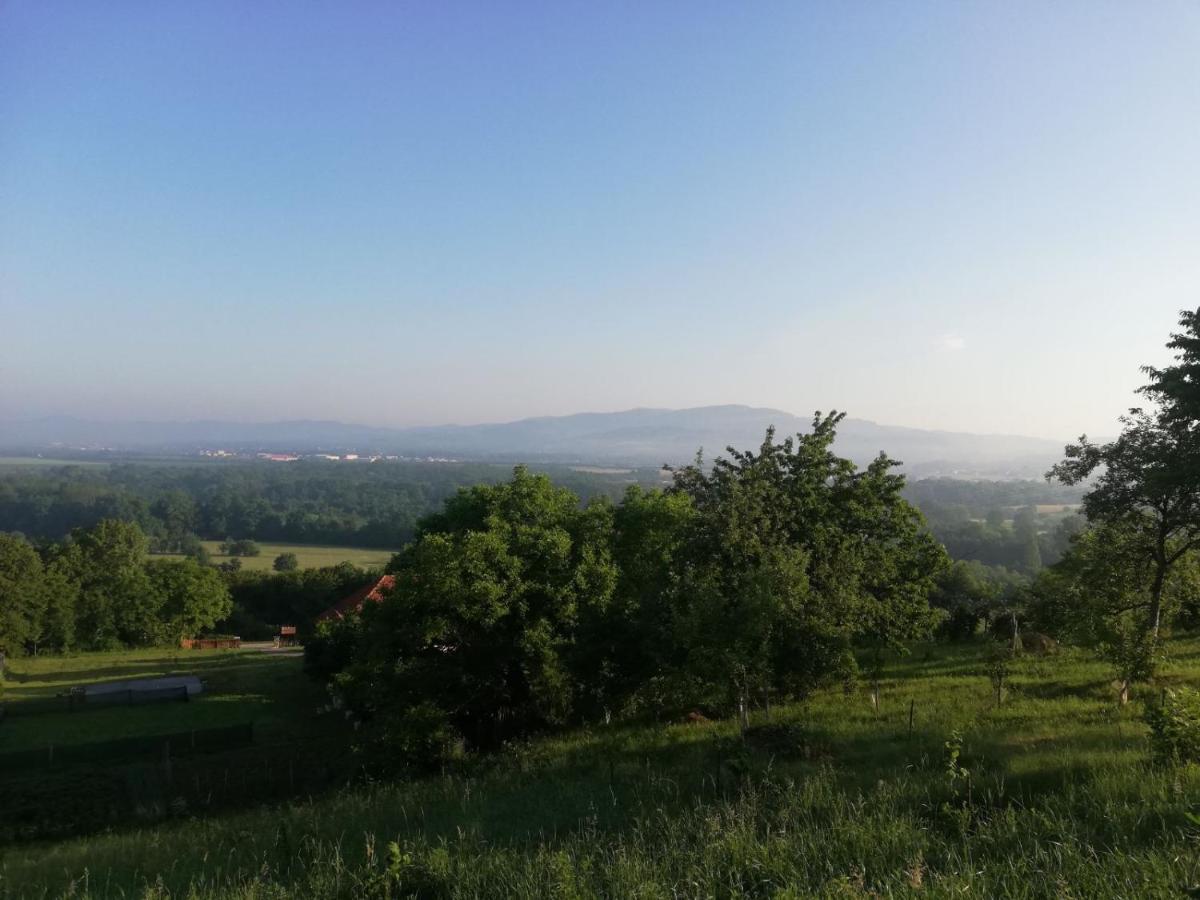 Villa Vikendica i vajat Vrbica Kalesija Esterno foto